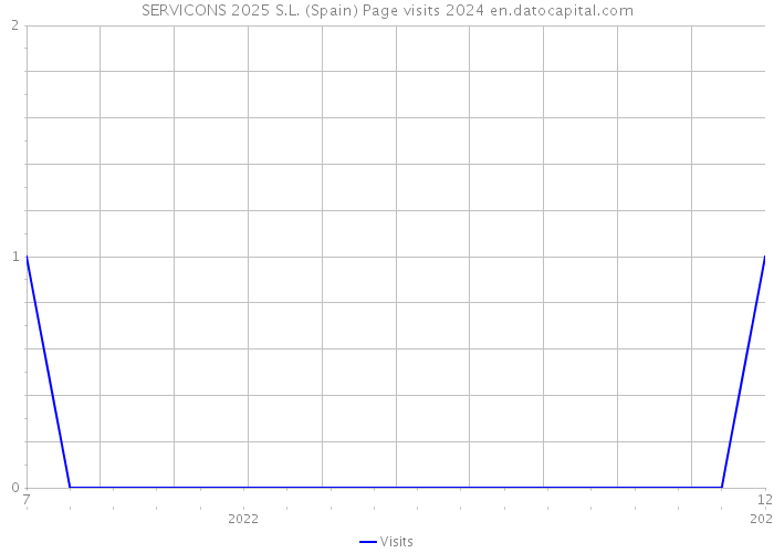 SERVICONS 2025 S.L. (Spain) Page visits 2024 