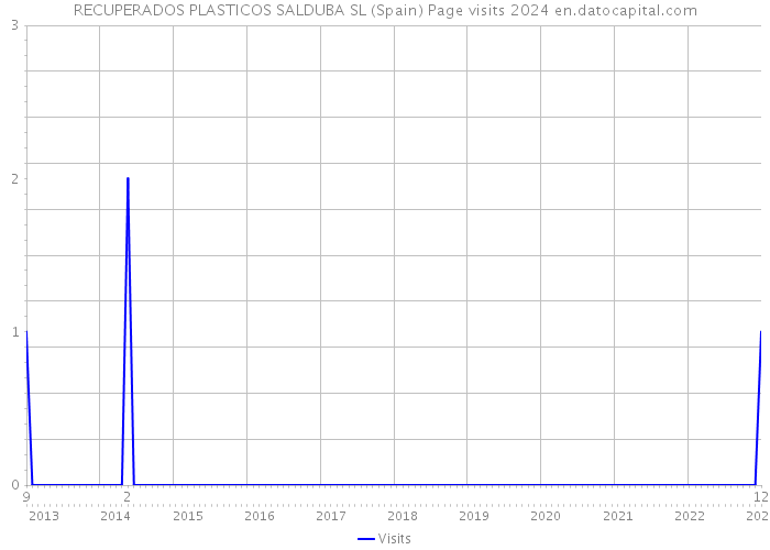 RECUPERADOS PLASTICOS SALDUBA SL (Spain) Page visits 2024 
