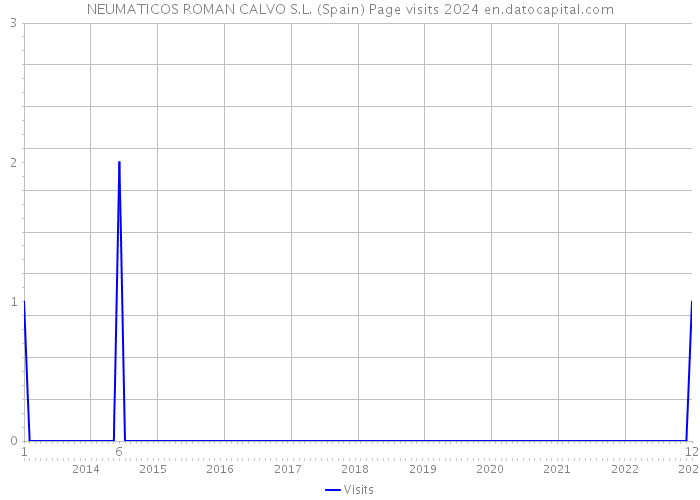 NEUMATICOS ROMAN CALVO S.L. (Spain) Page visits 2024 