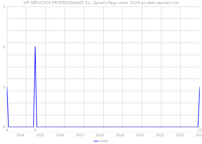 VIP SERVICIOS PROFESIONALES S.L. (Spain) Page visits 2024 