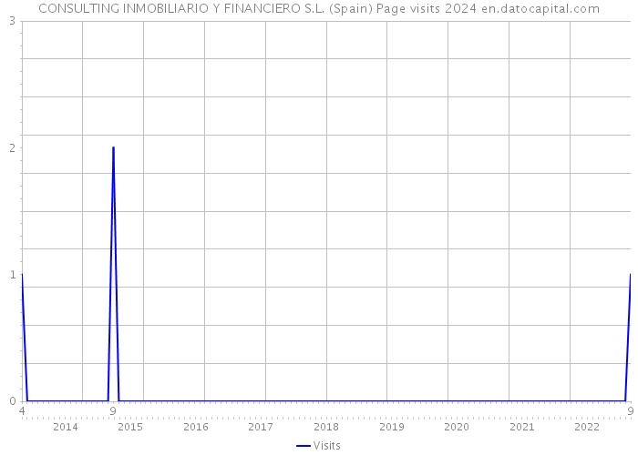 CONSULTING INMOBILIARIO Y FINANCIERO S.L. (Spain) Page visits 2024 