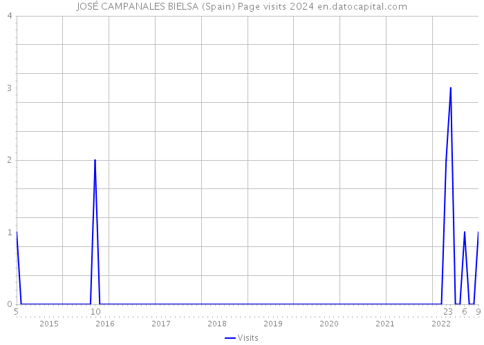 JOSÉ CAMPANALES BIELSA (Spain) Page visits 2024 
