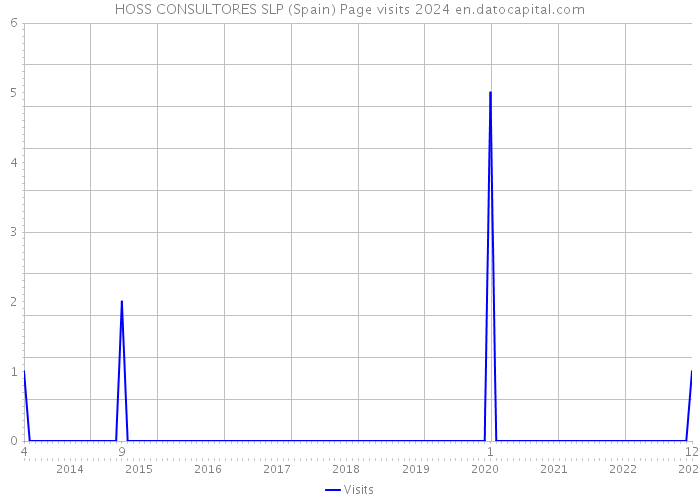 HOSS CONSULTORES SLP (Spain) Page visits 2024 