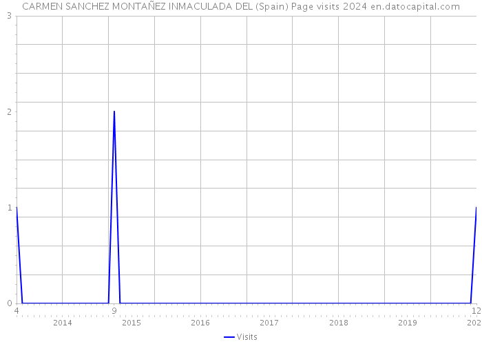 CARMEN SANCHEZ MONTAÑEZ INMACULADA DEL (Spain) Page visits 2024 