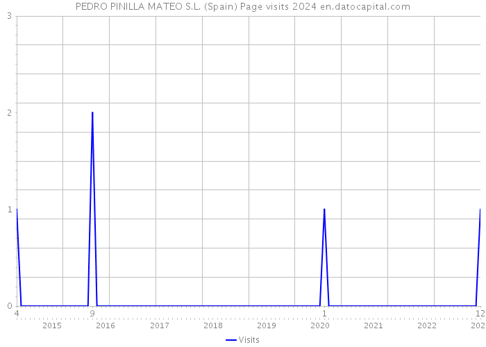 PEDRO PINILLA MATEO S.L. (Spain) Page visits 2024 
