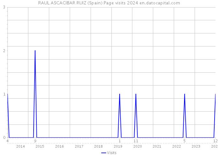 RAUL ASCACIBAR RUIZ (Spain) Page visits 2024 