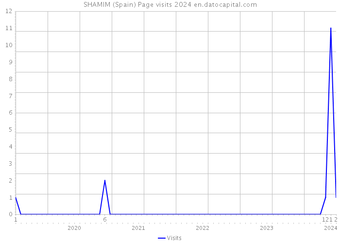 SHAMIM (Spain) Page visits 2024 