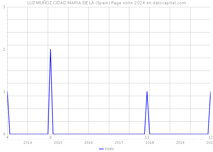LUZ MUÑOZ CIDAD MARIA DE LA (Spain) Page visits 2024 