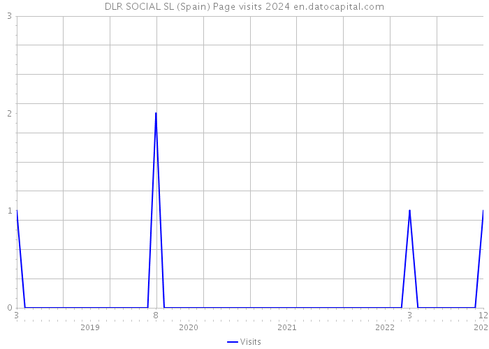 DLR SOCIAL SL (Spain) Page visits 2024 