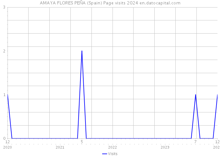 AMAYA FLORES PEÑA (Spain) Page visits 2024 