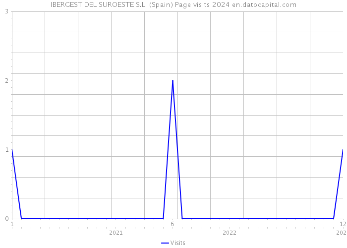 IBERGEST DEL SUROESTE S.L. (Spain) Page visits 2024 