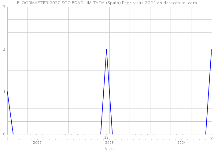 FLOORMASTER 2020 SOCIEDAD LIMITADA (Spain) Page visits 2024 