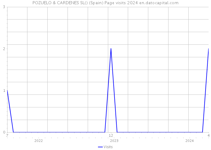 POZUELO & CARDENES SL() (Spain) Page visits 2024 