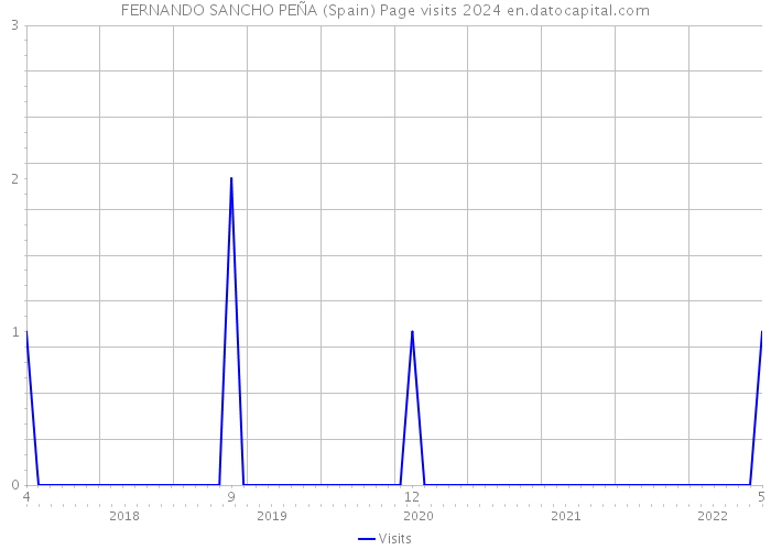 FERNANDO SANCHO PEÑA (Spain) Page visits 2024 