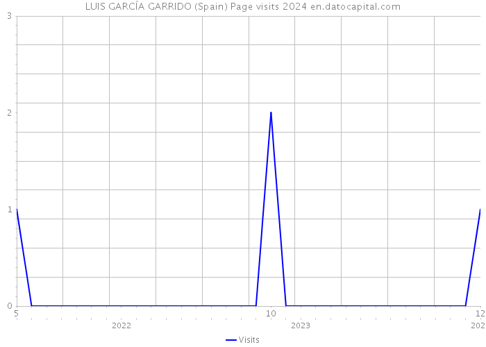 LUIS GARCÍA GARRIDO (Spain) Page visits 2024 