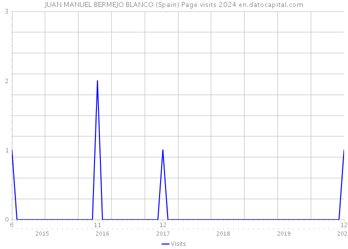 JUAN MANUEL BERMEJO BLANCO (Spain) Page visits 2024 