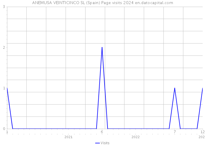 ANEMUSA VEINTICINCO SL (Spain) Page visits 2024 