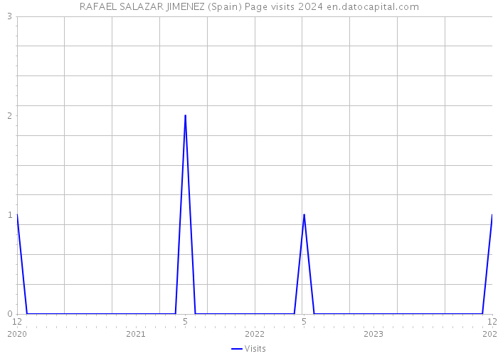 RAFAEL SALAZAR JIMENEZ (Spain) Page visits 2024 