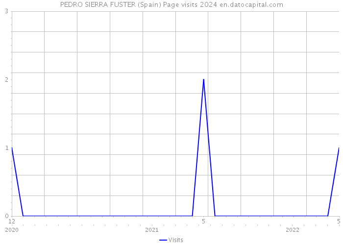 PEDRO SIERRA FUSTER (Spain) Page visits 2024 