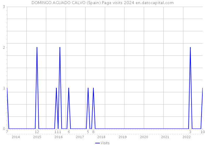 DOMINGO AGUADO CALVO (Spain) Page visits 2024 