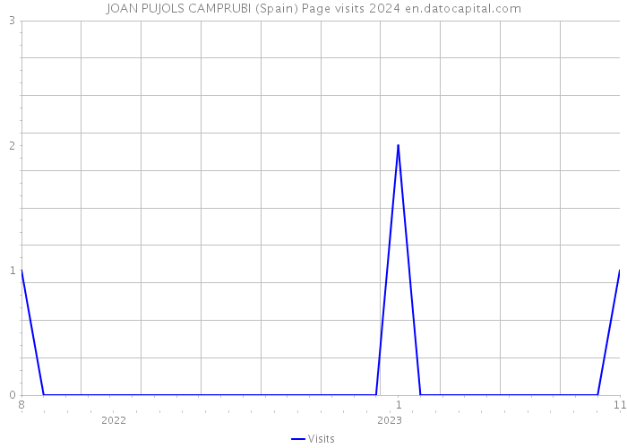 JOAN PUJOLS CAMPRUBI (Spain) Page visits 2024 