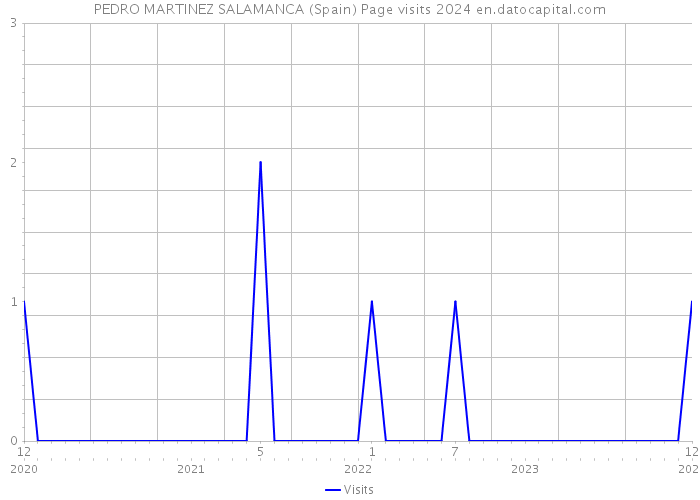 PEDRO MARTINEZ SALAMANCA (Spain) Page visits 2024 