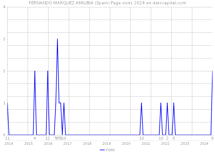 FERNANDO MARQUEZ AMILIBIA (Spain) Page visits 2024 