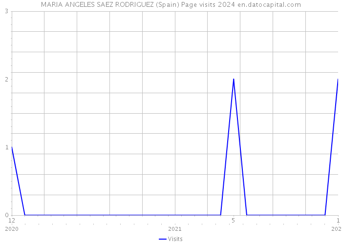 MARIA ANGELES SAEZ RODRIGUEZ (Spain) Page visits 2024 