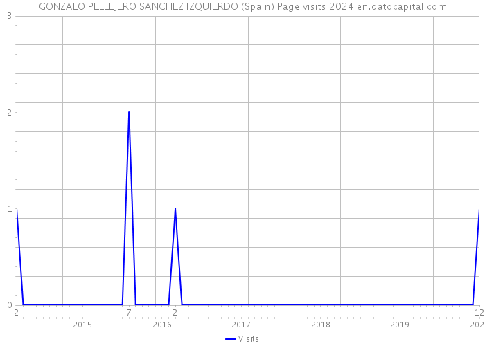 GONZALO PELLEJERO SANCHEZ IZQUIERDO (Spain) Page visits 2024 