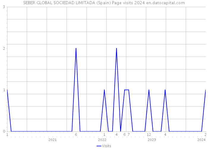 SEBER GLOBAL SOCIEDAD LIMITADA (Spain) Page visits 2024 