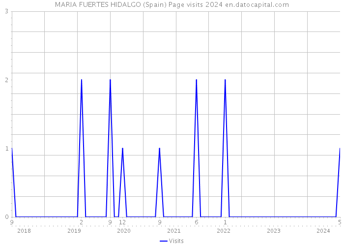 MARIA FUERTES HIDALGO (Spain) Page visits 2024 
