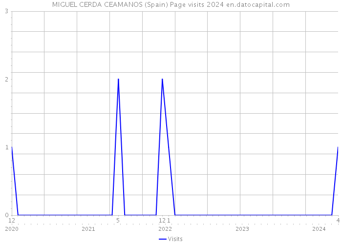 MIGUEL CERDA CEAMANOS (Spain) Page visits 2024 