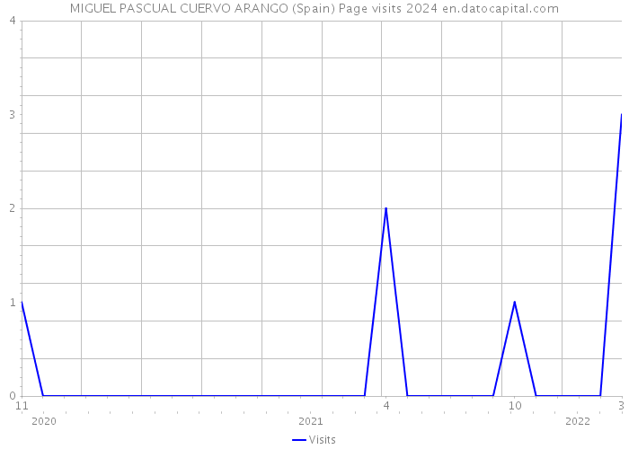 MIGUEL PASCUAL CUERVO ARANGO (Spain) Page visits 2024 