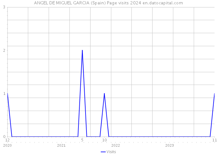 ANGEL DE MIGUEL GARCIA (Spain) Page visits 2024 