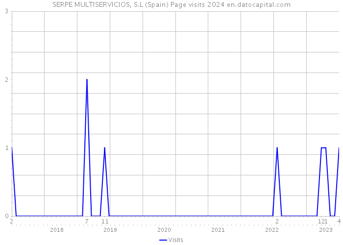 SERPE MULTISERVICIOS, S.L (Spain) Page visits 2024 