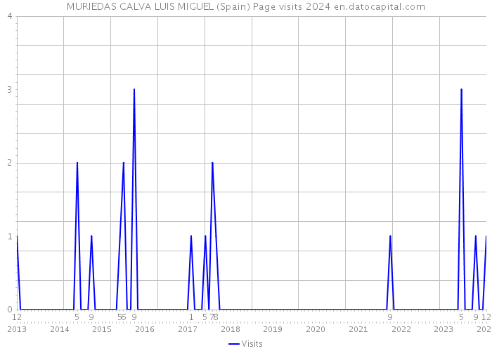 MURIEDAS CALVA LUIS MIGUEL (Spain) Page visits 2024 