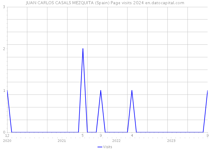 JUAN CARLOS CASALS MEZQUITA (Spain) Page visits 2024 
