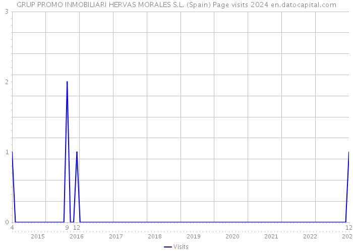 GRUP PROMO INMOBILIARI HERVAS MORALES S.L. (Spain) Page visits 2024 