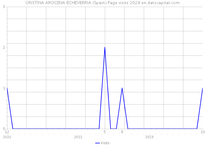 CRISTINA AROCENA ECHEVERRIA (Spain) Page visits 2024 