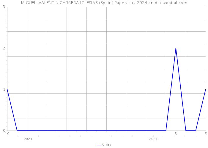 MIGUEL-VALENTIN CARRERA IGLESIAS (Spain) Page visits 2024 