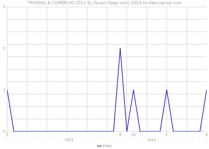 TRADING & COMERCIO 2011 SL (Spain) Page visits 2024 