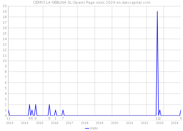 CERRO LA NEBLINA SL (Spain) Page visits 2024 