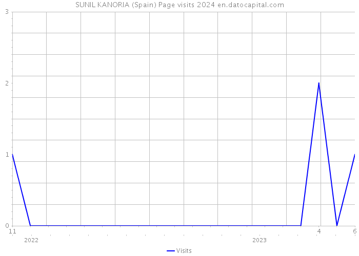 SUNIL KANORIA (Spain) Page visits 2024 