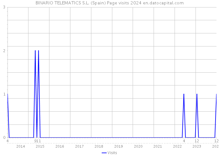 BINARIO TELEMATICS S.L. (Spain) Page visits 2024 