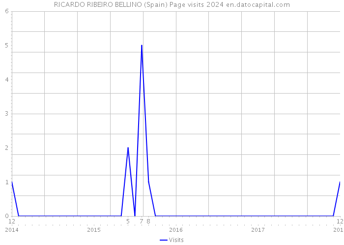 RICARDO RIBEIRO BELLINO (Spain) Page visits 2024 