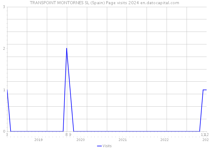 TRANSPOINT MONTORNES SL (Spain) Page visits 2024 