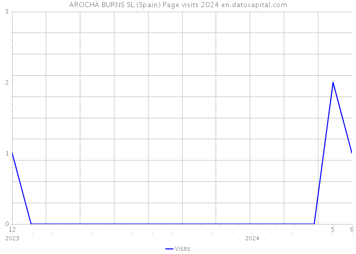 AROCHA BURNS SL (Spain) Page visits 2024 