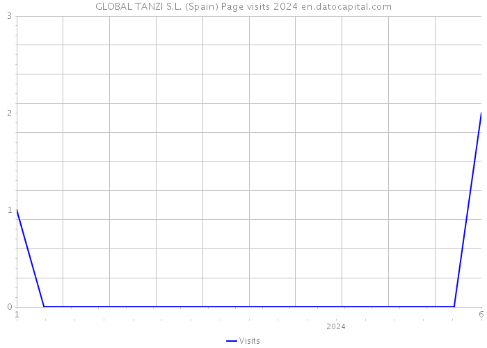 GLOBAL TANZI S.L. (Spain) Page visits 2024 