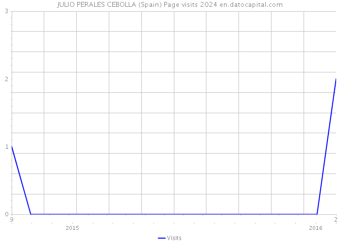 JULIO PERALES CEBOLLA (Spain) Page visits 2024 