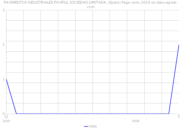 PAVIMENTOS INDUSTRIALES PAVIPUL SOCIEDAD LIMITADA. (Spain) Page visits 2024 